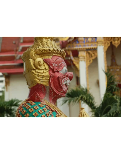 Фотография бога Ханумана, храмовый комплекс Радж