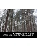 Ноты для гитары! Malice Mizer Bois de Merveilles