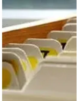 База белых каталогов