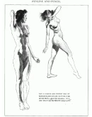 Рисование обнаженной натуры. Учебник. Автор Эндрю Лумис