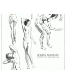 Рисование обнаженной натуры. Учебник. Автор Эндрю Лумис