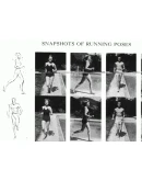 Рисование обнаженной натуры. Учебник. Автор Эндрю Лумис