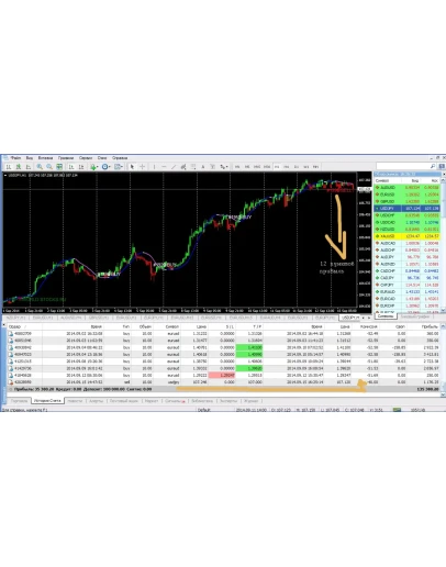 Профессиональная форекс система