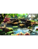 Violett Remastered + OST (Steam Gift region free) Violett Remastered + OST (Steam Gift region free)