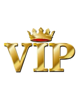 2VIP (b2) Стандарт на 3 месяца GunServer.ru