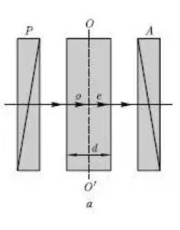 32. Кристаллическая пластинка из исландского шпата в по