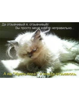 Контрольная Криминалогия