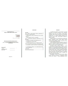 Уголовно-правовые проблемы борьбы с терроризмом. Диплом