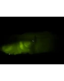 Anoxemia STEAM KEY REGION FREE GLOBAL Anoxemia STEAM KEY REGION FREE GLOBAL