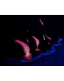 Изготовление потоков лавы, струй и капель магмы