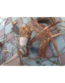 лапти -шлёпанцы