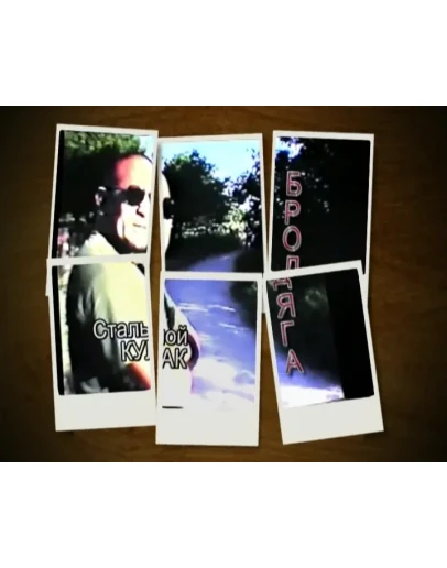 Бродяга полный версия