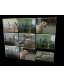 Бродяга полный версия