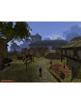 Gothic II: Gold Edition (+Ночь Ворона) STEAM / РФ+МИР