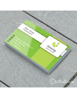 Визитка для директора магазина игрушек 001 Визитка для директора магазина игрушек 001