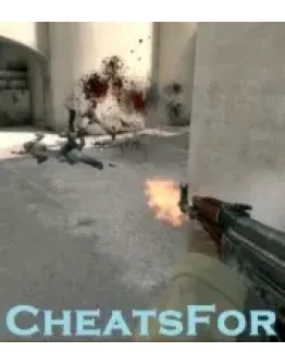 Cheatsfor Access 1 Months