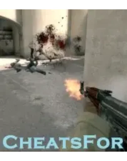 Cheatsfor Access 1 Months