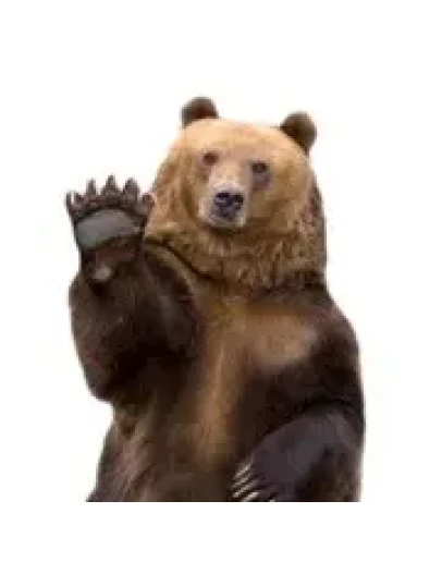 Ключ активации BossManager на 180 дней