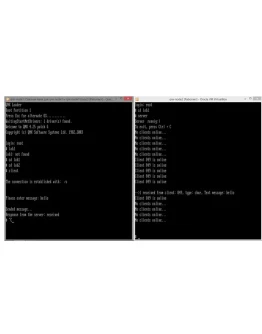 Лабораторная работа по ОСРВ. Приложение клиент/сервер
