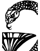 Змея и чаша - эмблема медицины в векторе