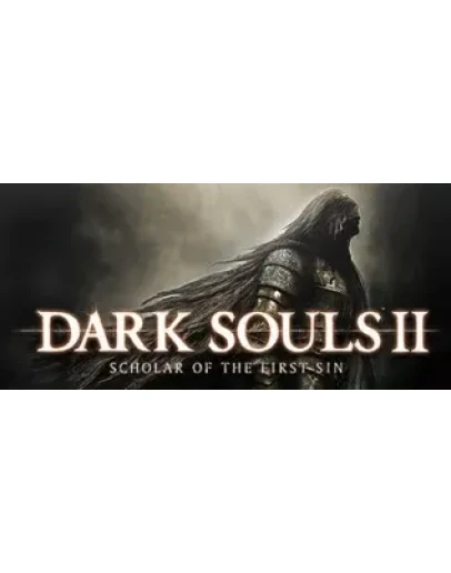 DARK SOULS II Steam account Аккаунт + баланс 100