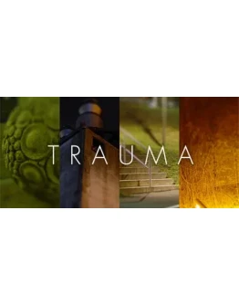 Trauma (Steam key) + Скидки
