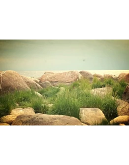 Фотография: Белое море