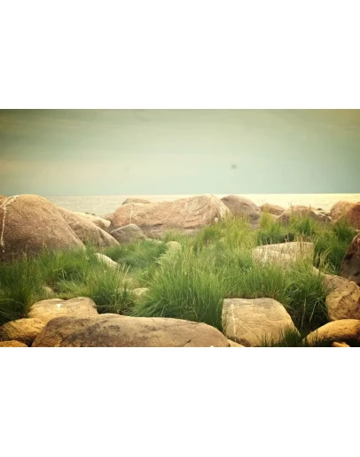 Фотография: Белое море