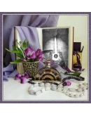 Темы-обои для сотовых телефонов