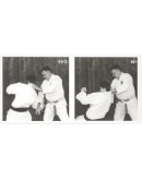 Книга 75 нижних блоков - техника каратэ по-новому