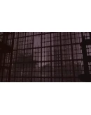 Eidolon STEAM KEY REGION FREE GLOBAL