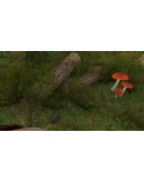 The District STEAM KEY REGION FREE GLOBAL