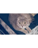 Make it indie! STEAM KEY GLOBAL+РОССИЯ