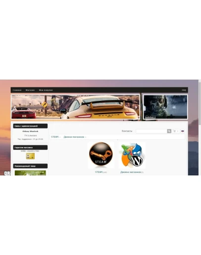 Магазин STEAM 2015 со своими и агентскими товарами