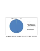 Диплом Управление прибылью и выручкой предприятия