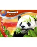 Wildlife Creative Studio STEAM KEY REGION FREE GLOBAL Wildlife Creative Studio STEAM KEY REGION FREE GLOBAL