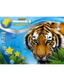 Wildlife Creative Studio STEAM KEY REGION FREE GLOBAL Wildlife Creative Studio STEAM KEY REGION FREE GLOBAL