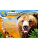 Wildlife Creative Studio STEAM KEY REGION FREE GLOBAL Wildlife Creative Studio STEAM KEY REGION FREE GLOBAL