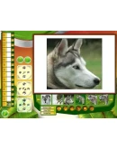 Wildlife Creative Studio STEAM KEY REGION FREE GLOBAL Wildlife Creative Studio STEAM KEY REGION FREE GLOBAL