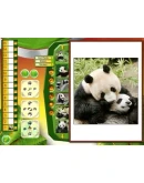 Wildlife Creative Studio STEAM KEY REGION FREE GLOBAL Wildlife Creative Studio STEAM KEY REGION FREE GLOBAL