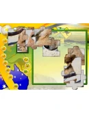 Wildlife Creative Studio STEAM KEY REGION FREE GLOBAL Wildlife Creative Studio STEAM KEY REGION FREE GLOBAL