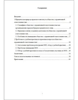 Правовое положение ООО - дипломная работа