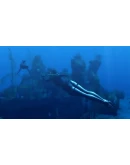 Tomb Raider: Underworld (STEAM КЛЮЧ) РОССИЯ + МИР