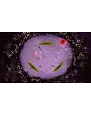 Paperbound ( Steam Key / Region Free ) GLOBAL