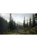 Alan Wake Franchise STEAM КЛЮЧ РФ+МИР / РУССКИЙ ЯЗЫК