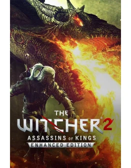 Witcher 2: Assassins of Kings (Steam Gift RU/CIS)