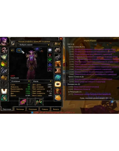 Друид ночная эльфийка (Ж) лич х100 4