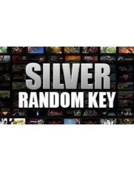 SILVER random (steam)