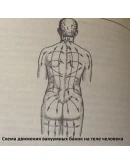 Реферат на тему Баночный массаж Вакуумный массаж Реферат на тему Баночный массаж Вакуумный массаж
