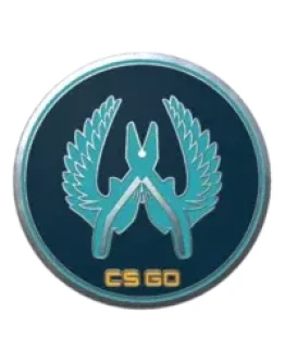 CS Go Значок Защитник